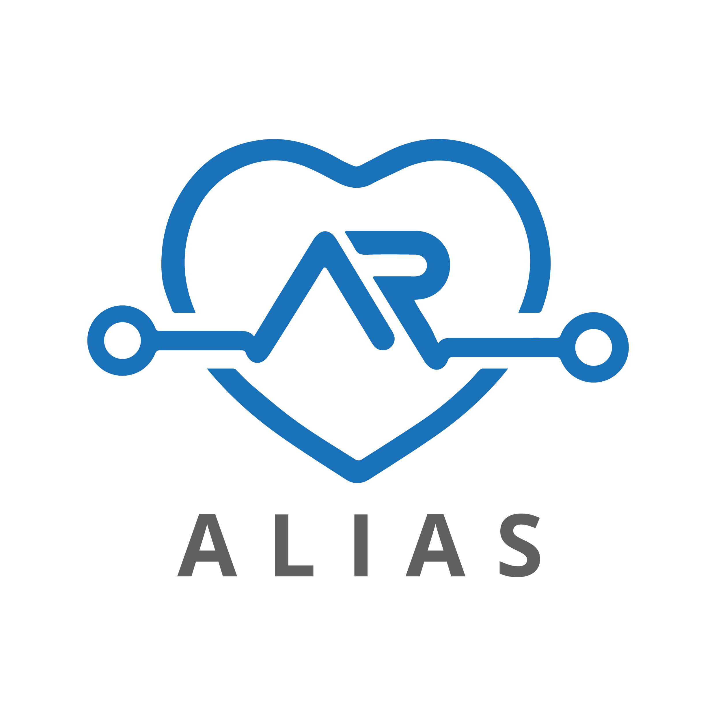 alias-project